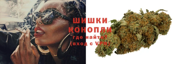 прущие грибы Баксан