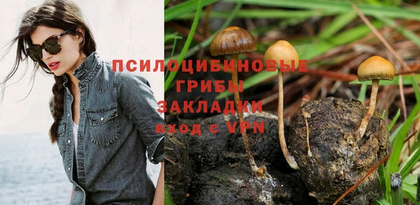 амф Беломорск