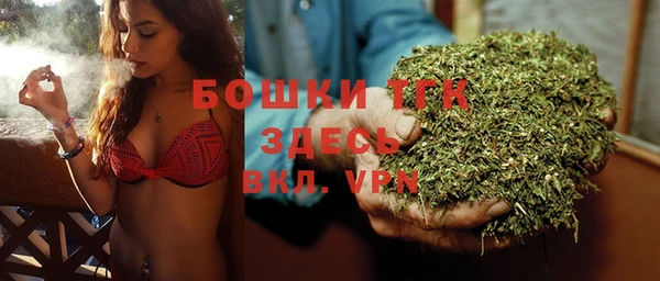 амф Дмитровск