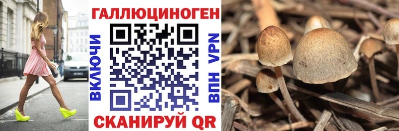 Галлюциногенные грибы Magic Shrooms МЕГА как зайти Курлово
